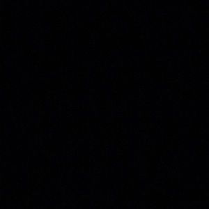 Meet your Posher, Ann